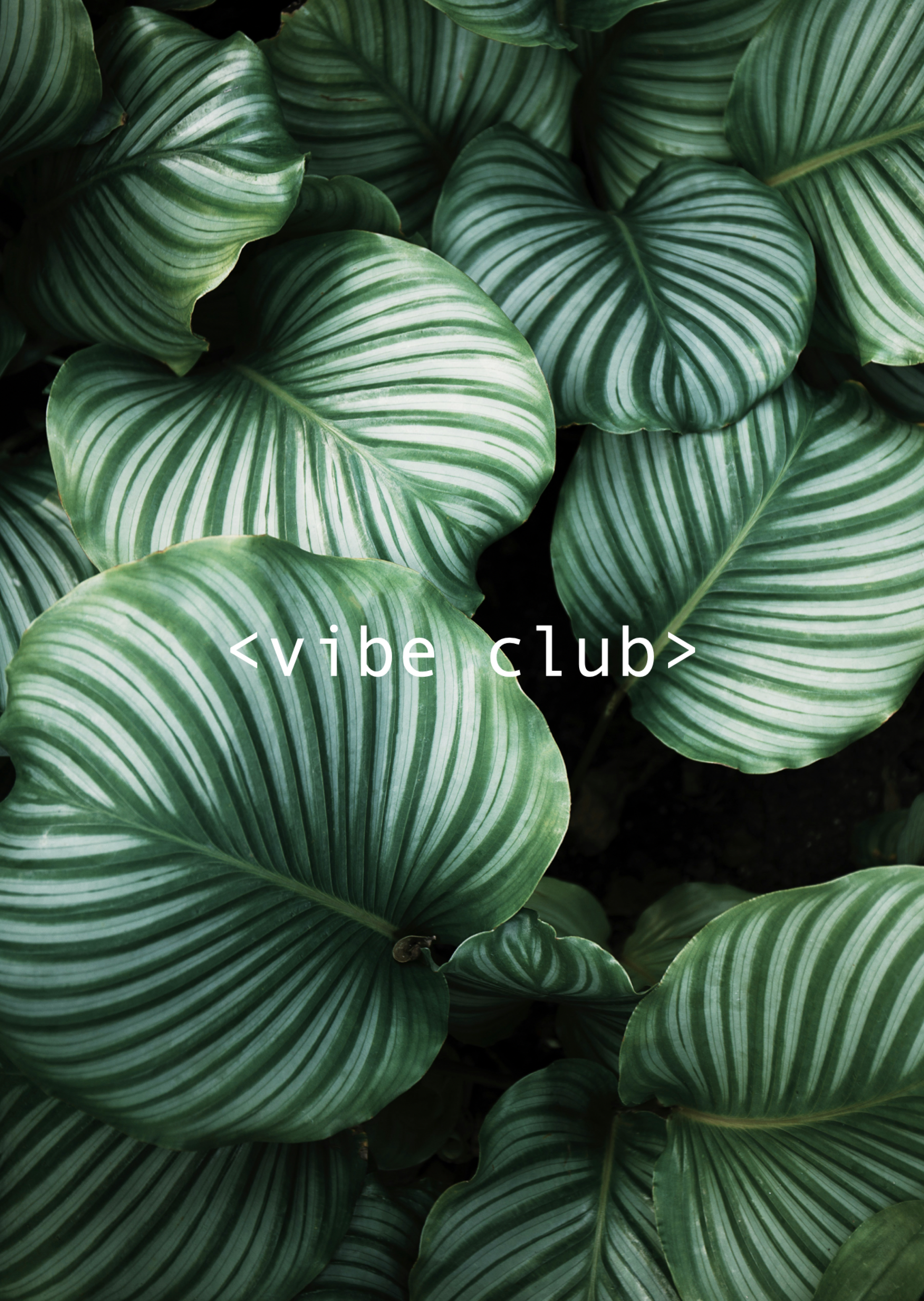 Vibe Club - Et dypdykk i det nye konseptet Vibe Coding.